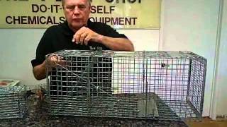 How To Trap Animals  Michael Bohdan  The Pest Shop  Plano TX [upl. by Clarette]