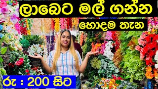 ලාබෙට මල් ගන්න හොදම තැන  Flower Shop Pitakotuwa  Flower Street [upl. by Ki]