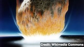 New Evidence That an Asteroid Killed the Dinosaurs [upl. by Bordie]