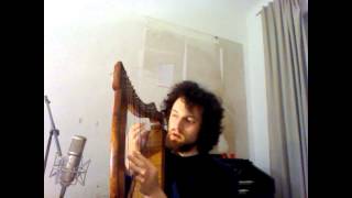 Venus as a Boy by Björk harp cover for Shuffle1 [upl. by Nahn]