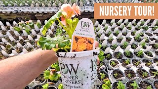 Proven Winners Annuals amp Perennials Update Nursery Tour [upl. by Anigal]