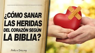 Los 4 tipos de corazones [upl. by Edelman]