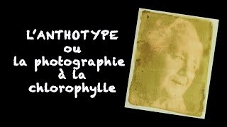 Lanthotype ou comment faire de la photo à la chlorophylle [upl. by Sarson]