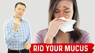 How to Get Rid of Mucus – Sinus Remedies by Dr Berg [upl. by Ailene]