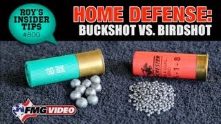 Home Defense Buckshot vs Birdshot [upl. by Aisercal]