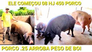 CRIADOR HJ TEM 450 PORCO TEM PORCO ATE DE 2O [upl. by Nauqram]