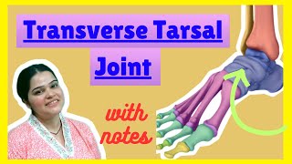 Transverse tarsal joint biomechanics in detail  with notes [upl. by Ik]