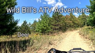 ATV Ride  Deer On The Wild Bill Trail [upl. by Koss655]