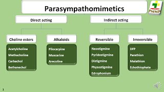 Parasympathomimetic drugs  General Pharmacology S313 [upl. by Alihs]