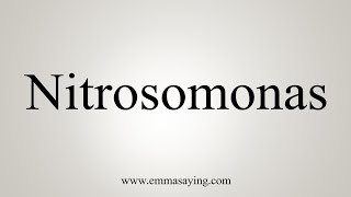 How To Say Nitrosomonas [upl. by Mowbray]