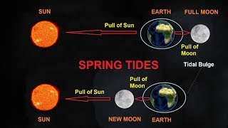 What Causes Tides [upl. by Eey]