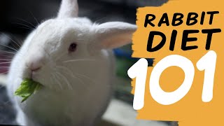 EVERYTHING You Need To Know About a Rabbit Diet [upl. by Ainotal784]