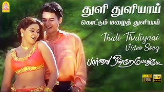 Thuli Thuliyaai Kottum Mazhai  Video Song  Paarvai Ondre Pothume  Kunal  Monal  Bharani [upl. by Dielu]