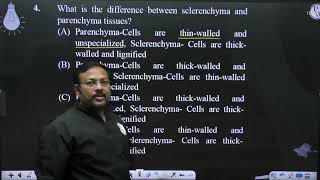 What is the difference between sclerenchyma and parenchyma tissues [upl. by Mickelson]