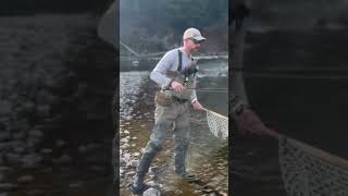 Bitterroot Cut flyfishing troutfishing trout [upl. by Liggett468]