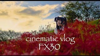 SONY FX30  cinematic Vlog 6 portrait SLog3 彼岸花 [upl. by Gould]