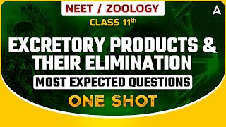 EXCRETORY PRODUCTS amp THEIR ELIMINATION ONE SHOT  BIOLOGY MOST EXPECTED QUESTIONS FOR NEET SANKALP [upl. by Irtemed400]