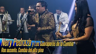 Nery Pedraza y Los Guaraperos de la Cumbia  Reo ausente Cumbia del Alto Pino [upl. by Kere467]