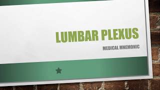 Lumbar Plexus Mnemonic [upl. by Moffat]