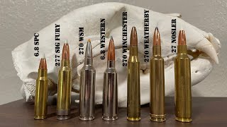 Complete guide to 270 Caliber Cartridges  270 Win 270 WSM 270 Weatherby 68 Western amp More [upl. by Ynattir]