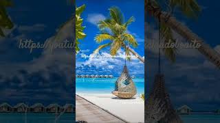 Islas Maldivas turismo tourism beach beachlife beachvibes beaches islasmalvinas [upl. by Thrasher]