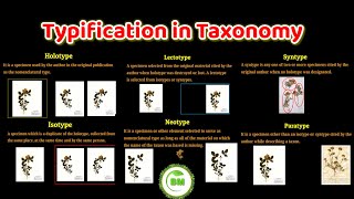 Typification in taxonomy  holotype Isotype Lectotype syntype neotype paratype  taxonomy [upl. by Rebekkah]