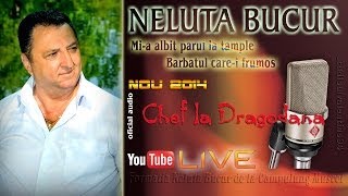 NELUTA BUCUR  Mia albit parul la tample  Barbatul carei frumos live audio [upl. by Esilrahc]