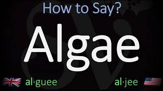 How to Pronounce Algae in English [upl. by Mount]