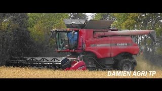 FULL HD Moisson MILLET  CASE IH AXIALFLOW 8230  Harvest 2016 [upl. by Kokaras]