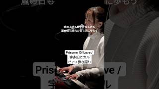 Prisoner Of Love  宇多田ヒカル Utada Hikaru ピアノ弾き語り 一発撮り 宇多田ヒカル utada [upl. by Evets228]