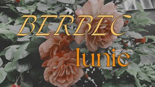 BERBEC ♈  schimbări majore aduse chiar prin propria voință🙏 [upl. by Ecirtra]