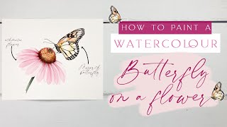 Watercolour Butterfly On A Flower Tutorial  Monarch Butterfly on an Echinacea Flower [upl. by Eked]