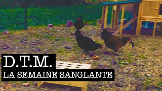 DTM  La semaine sanglante [upl. by Rugg]