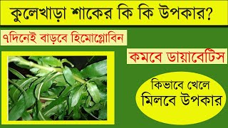 কুলেখাড়া পাতার উপকারিতা কি Kulekhara Patar Gunagunকুলেখাড়া পাতা খাওয়ার নিয়ম [upl. by Yednarb524]