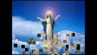 Ave Maria  Franz Schubert sung by Achim Klotz 2nd verse in latin [upl. by Murial141]