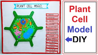 plant cell model making  simple and easy science project for exhibition  diy  craftpiller [upl. by Nolla124]