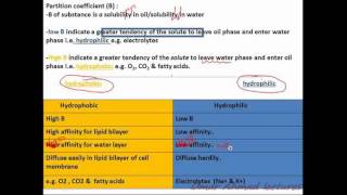 2partition coefficient amp permeability coefficient biophysics\physiology [upl. by Ynolem]