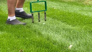 AERATE YOUR LAWN THE RIGHT WAY The Landzie Fork Aerator  too FORKIN good [upl. by Raamaj22]