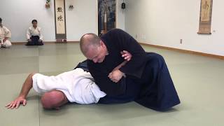 Aikido Arm and Hip Control Ikkyo Rokkyo Sutemi Waza [upl. by Dett821]