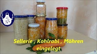 Sellerie  Kohlrabi  Möhren einlegen [upl. by Ahsitauq]