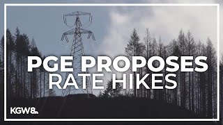 PGE customers may face rate hike in 2025 [upl. by Lilith]