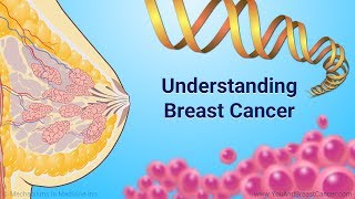 Understanding Breast Cancer [upl. by Baalman]