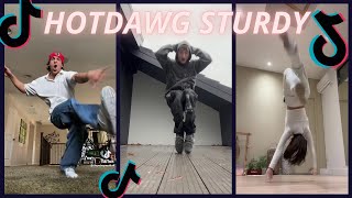 HOTDAWG STURDY 〰 new tiktok dance 💜🎵 [upl. by Grimbly]