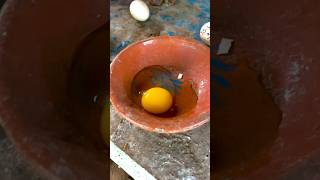 Infertile Eggs For Chicks [upl. by Evetta]