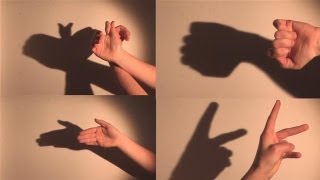 How To Make Shadow Puppets With Your Hand [upl. by Cornew]