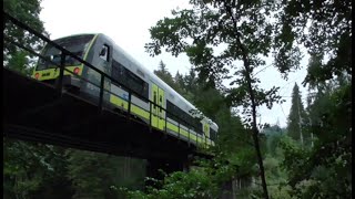 Die Ilztalbahn an der Brücke Fischhaus  Kalteneck [upl. by Angelle]