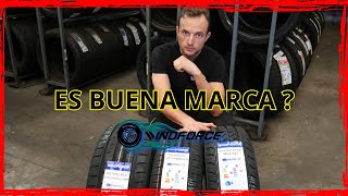 🚨¿MONTARIAS NEUMATICOS WINDFORCE EN TU COCHE LINEA ECONOMICA  TODA LA GAMA DE LA MARCA EN ESTE 🎥 [upl. by Yeknarf]