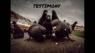 TESTIMONY ft H FLOW [upl. by Emory]