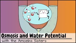 Osmosis and Water Potential Updated [upl. by Notned]