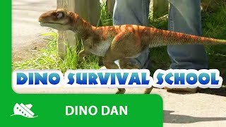 all Dino Dan Dino Dan Treks adventures and Dino Dana dinosaurs [upl. by Anitnatsnoc489]